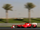 POD PALMAMI. Felipe Massa na Ferrari absolvuje trénink na Velkou cenu Abu Zabí. 