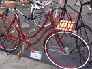 City bike Viva