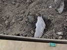 Zkuební vrty odhalily v podloí dálnice D1 na Ostravsku nejrznjí odpad..
