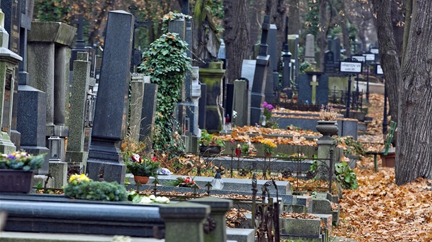 Města a obce příliš neví, co si počít s opuštěnými hroby(Olšany, 18. listopadu).