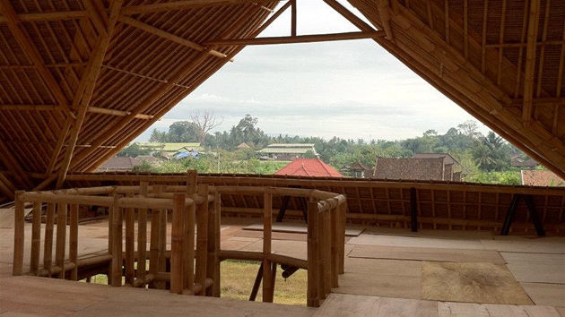 Tropický bambus, pouívaný s oblibou na Západ k výrob krytin, nábytku a