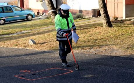 Policisté dkladn zajistili místo nehody a po nkolika hodinách nali podezelé auto. Ilustraní snímek