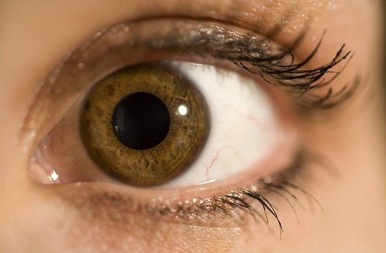 Oči vás mohou varovat před mnoha chorobami (ilustrační snímek)