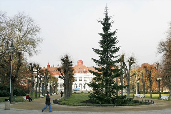 Vánoní strom zdobí od úterního rána Karlovy Vary.