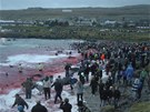 Obyvatelé Faerských ostrov chytají a masakrují kulohlavce erné nedaleko...