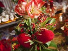 Vánoní kytice  - amarylis, ilex neboli cesmína a velké ervené kvty