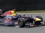 VÍTĚZ KVALIFIKACE. Sebastian Vettel s Red Bullem zajel v kvalifikaci Velké ceny