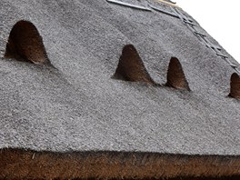 Detail střechy