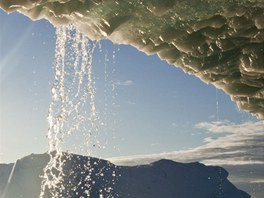 Tající ledová kra oddlená z ledovce Jakobshavn pluje do zálivu Disko Bay v