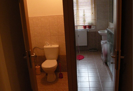 Koupelna a toaleta se doká razantní promny. Majitelce souasný vzhled místností nevyhovuje.