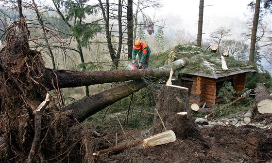 Následky noní vtrné smrti odstraují v botanické zahrad v Beov.