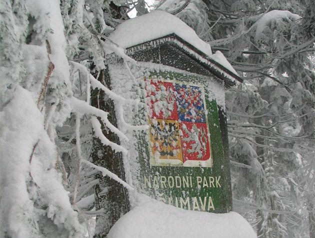 Národní park �umava �eká na zákon u� 22 let.