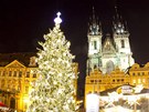 Vánoní strom v Praze