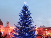Vánoní strom v Kladn