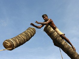 estapadesátiletý Anandan z Indie shazuje kus kmene z kokosovníku, který ped...