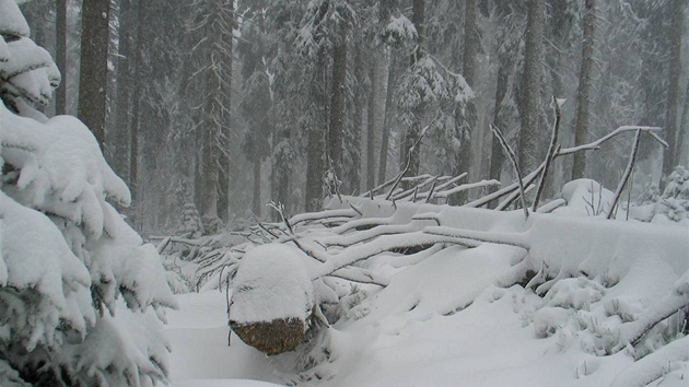 Na umav u je zimní idyla - na Smrin leí kolem 40 centimetr snhu.