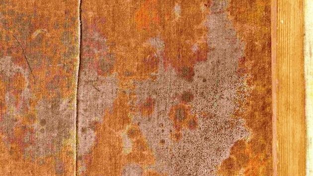 Detail plísní napadeného podloního plátna