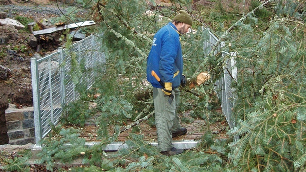 Zamstnanec Beovské botanické zahrady pracuje na odstranní následk vtrné