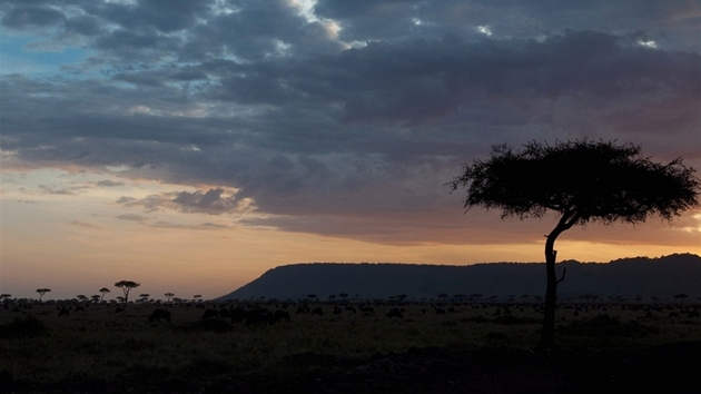 V oblasti Masai Mara v Keni chystá Richard Branson luxusní kemp.