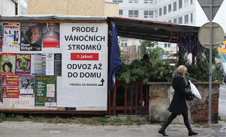 Prodej vnonch stromk v Brn