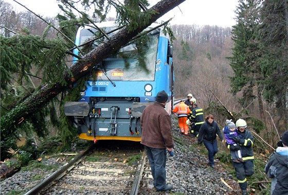Do stromu mezi Frýdlantem a Raspenavou na Liberecku narazil vlak. Nikomu se nic