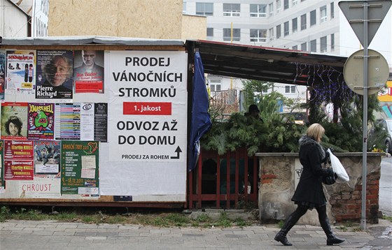 Prodej vnonch stromk v Brn