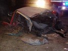 Vrak Peugeotu 106, v nm v sobotu veer zahynul pi nehod v Sytn mladý