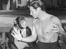 impanz Cheeta s hercem Lexem Barkerem - snímek z roku 1950