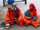 Svatí "ebráci" jsou v Indii na kadém kroku. Pokud budou trpliv snáet tíhu