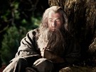 Zábr z filmu Hobbit: An Unexpected Journey  Ian McKellen jako Gandalf