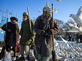 Afghánci s koaty stojí ped Modrou meitou v Mazáre arífu na severu zem a...