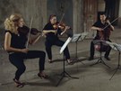 Pavel Haas Quartet v televizním poadu Bravo!