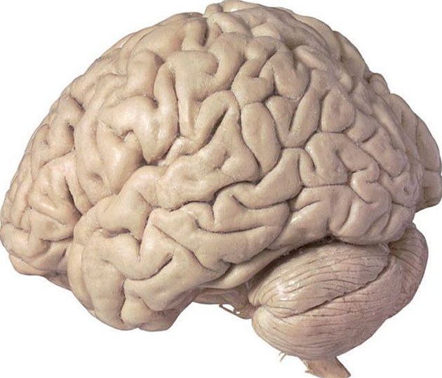 Jak se léčí zánět mozku?