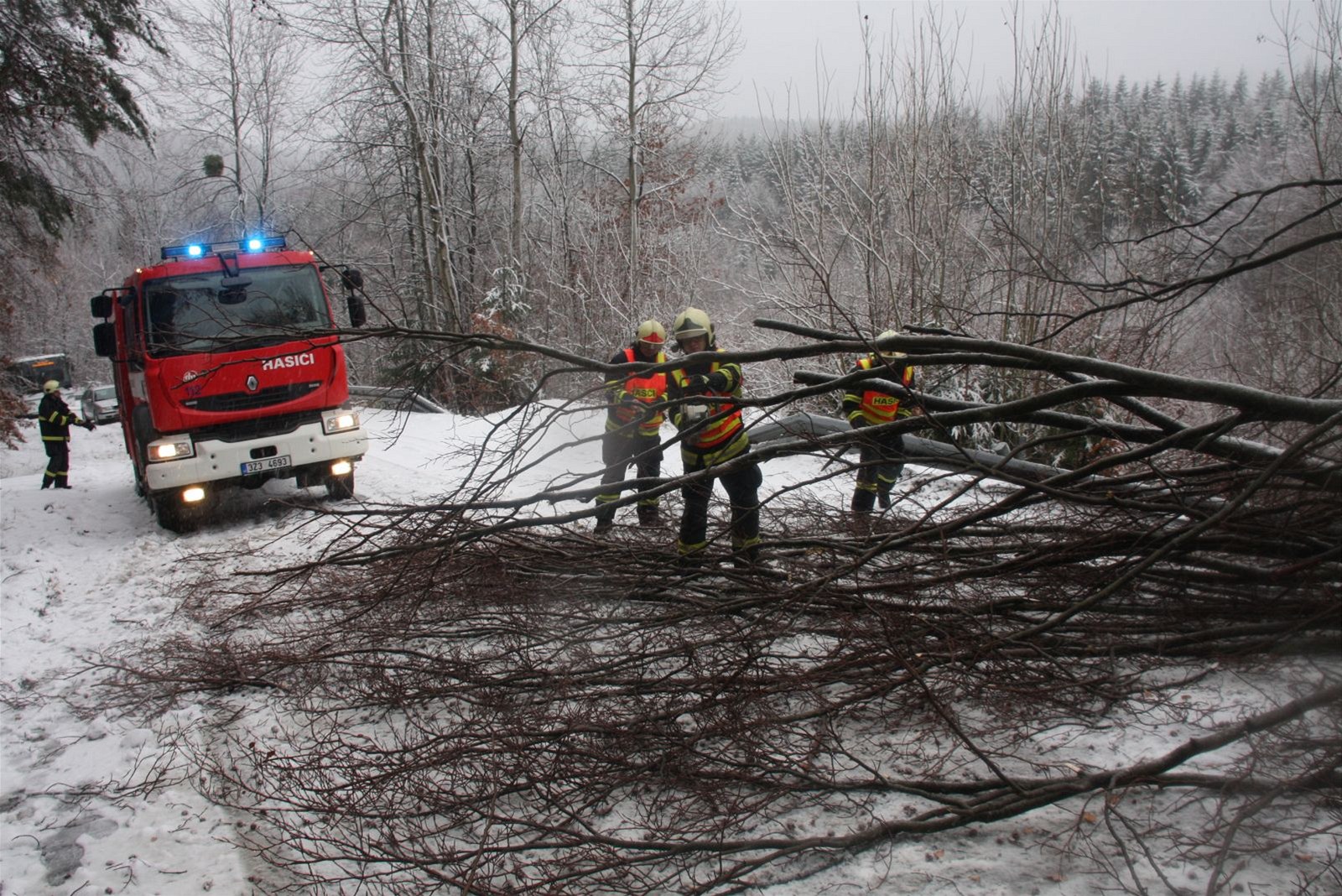 Hasii odklízejí strom ze silnice na Zlínsku. (5. ledna 2012)