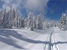 Snímek zimní cesty u Prail vyfotil Pavel Nedvd v beznu 2006.