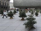 Les z pouitých vánoních stromk je k vidní na piazzet Národního divadla v