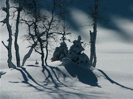 Kvildsk potok v lednu 2005. Autorem snmku je Ji Kadoch.