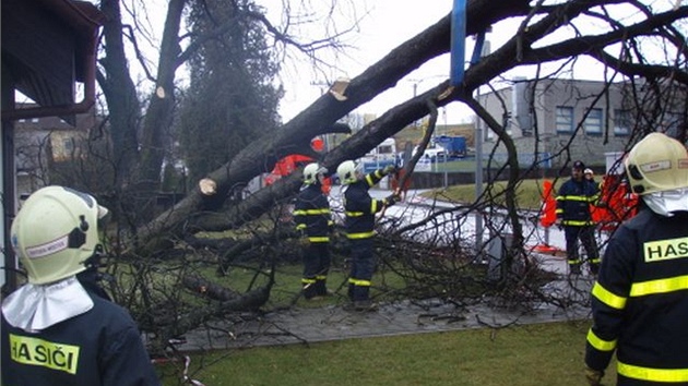 Hasii likvidovali ve Staíi spadlý strom pomocí jeábu (5. ledna 2012).