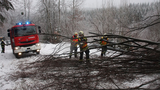 Hasii odklízejí strom ze silnice na Zlínsku. (5. ledna 2012)
