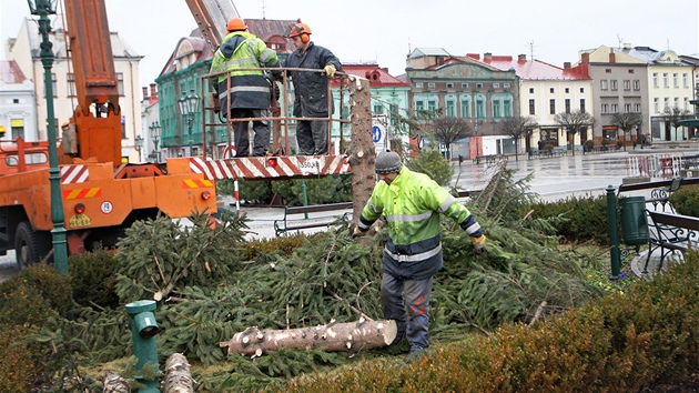 Pracovnci technickch slueb v Karvin museli pedasn rozezat vnon strom, kter praskl pod poryvem vtru. (5. ledna 2012)