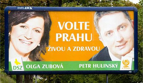 Olga Zubová na pedvolebním billboardu SSD. (Ilustraní foto)