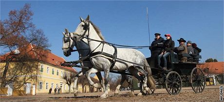 Místo nového areálu pro chov slavného plemene koní, provází opravy hebína hlavn policejní vyetování. 