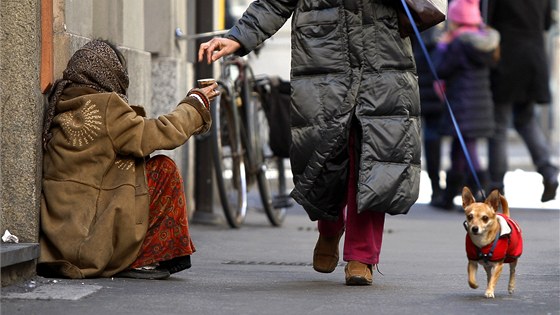 eny si vimla terénní sociální pracovnice, jak v Liberci na ulici ebrá o peníze a shání nco k jídlu. (ilustraní snímek)