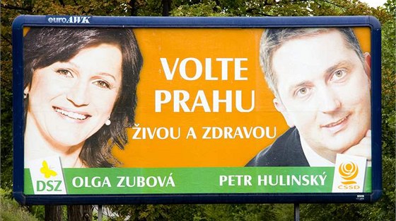 Olga Zubová na pedvolebním billboardu SSD. (Ilustraní foto)