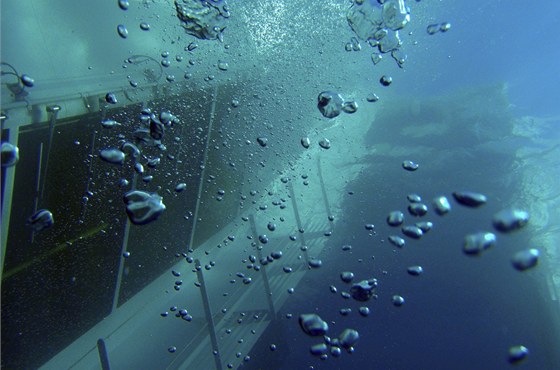 Obí Concordia je pod vodou z celé poloviny (17. ledna 2012)
