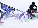 NA SNHU. Rakouský lya Rainer Schönfelder ve Wengenu upadl a tamní slalom