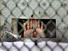 Jeden z trestanc se dívá przorem ze své cely ve vznici Guantánamo. (6....