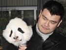 Yao Ming, bývalý hrá NBA, s jednou z pand vyputných do "Pandího údolí", aby