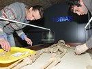Antropoloka Hana Brzobohatá a archeolog Jan Krouek instalují ostatky Tobiáe...
