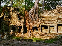 Trosky chrámového komplexu Angkor Vat v Kambod�i 